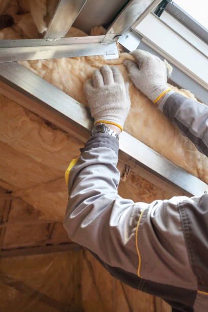 Best Crawl Space Insulation  in Edina, MN