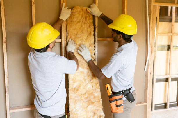 Best Spray Foam Insulation  in Edina, MN